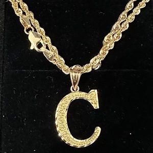 10kt gold chain and charm